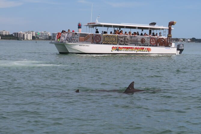 Shark Teeth and Shells, Dolphin and Shelling Tour Boat Clearwater Beach - The Sum Up: Who’s It For?