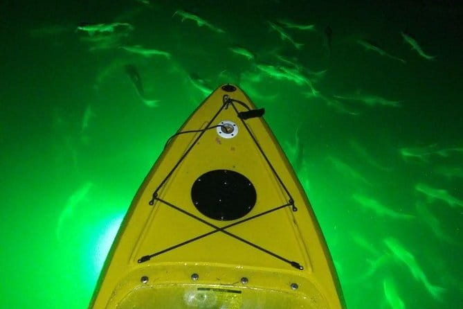 Sharkeys Glass Bottom Fish Feeding LED Night Tour St. Pete Beach - FAQs