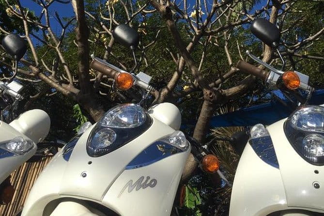 Single Passenger Moped/Scooter - 18+ NO Motorcycle License Needed - Why This Experience Works for Different Travelers