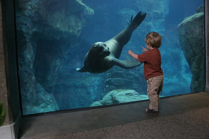 Skip the Ticketing Line: Aquarium of the Pacific General Admission Ticket - Final Thoughts