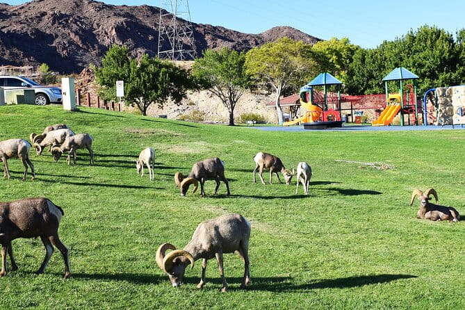 Small-Group Hoover Dam Tour from Las Vegas - Value for Money