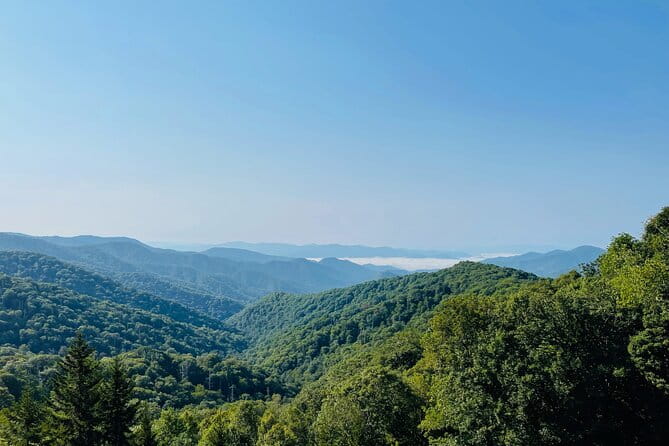 Smoky Mountains Newfound Gap Jeep Tour - Who Should Consider This Tour?