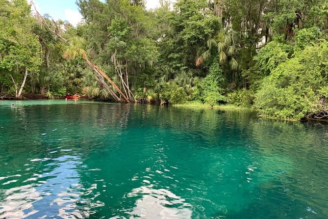 Snorkel Or Dive The Amazing Rainbow River Florida - Review Summary