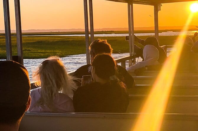 Sunset Wildlife Cruise along Assateague & Chincoteague Island - The Sum Up: Why This Wildlife Sunset Cruise Is Worth It
