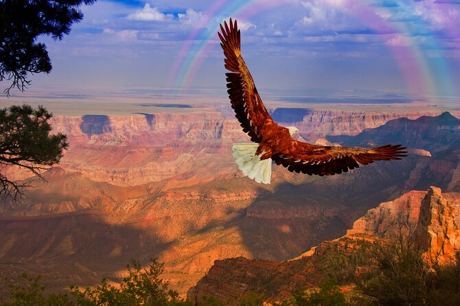 The Perfect Grand Canyon Tour with Local Expert Guides - FAQ