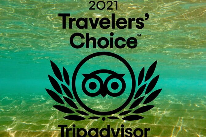 Turtle & Shark Scuba Dive in Lahaina: Certified - Practical Tips