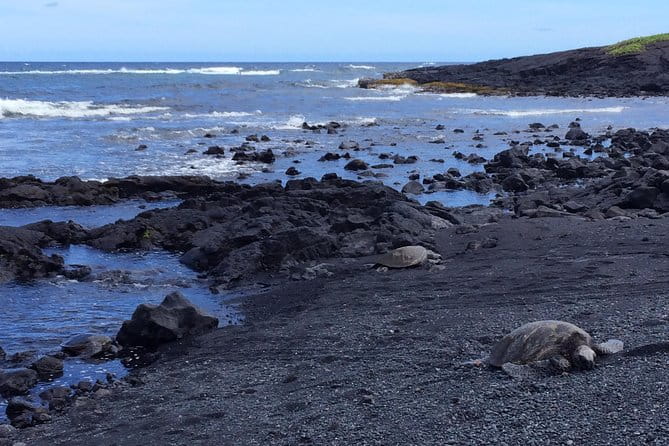 Ultimate Circle Island Explorer From Kona Or Kohala Resorts - Who Should Book This Tour?