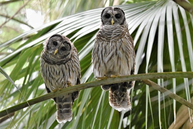 Wild & Scenic Loxahatchee River Guided Tour - Practical Tips for Your Trip