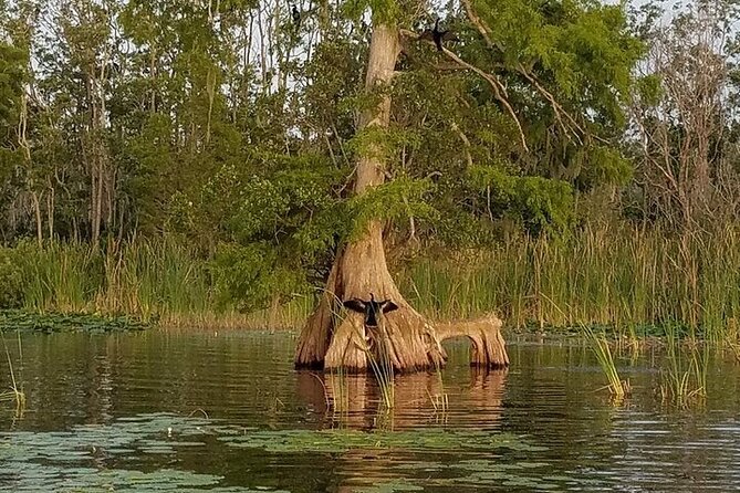 2 Hour Historical Wildlife Tour of the Chain of Lakes - Final Thoughts