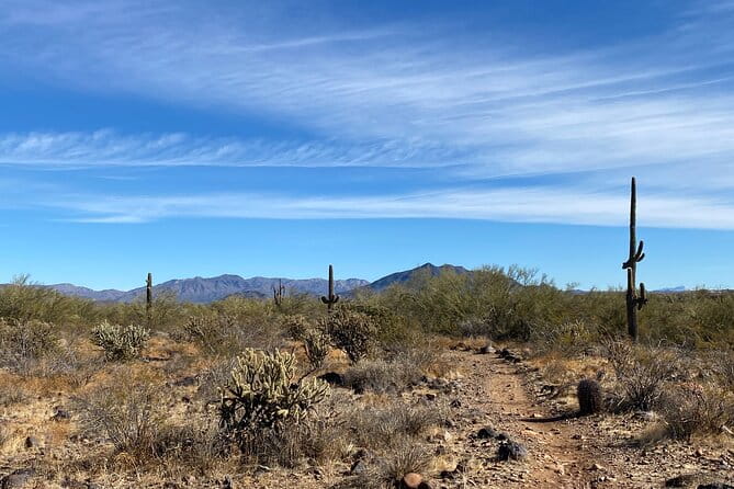 3 Hour Sonoran Desert Private Guided Mountain Bike Tour - Booking and Practical Details
