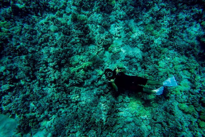 4 Hour Super-Raft Snorkeling Experience in Kailua-Kona - FAQ