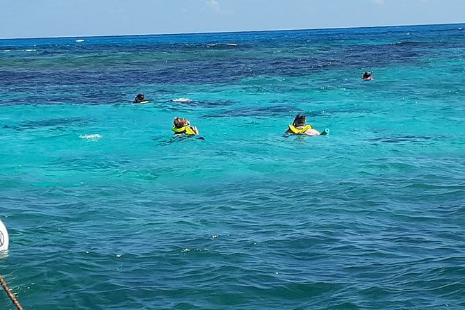 A Unique Private Snorkel Tour of Key Largo - Who Is This Tour Best For?