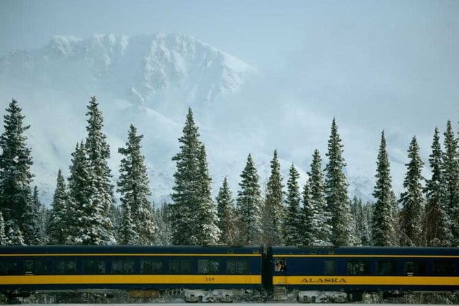Alaska Railroad Anchorage to Denali One Way - Who Should Consider This Tour?