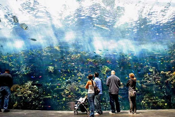 Atlanta CityPASS® - Final Thoughts: Who Will Love This?