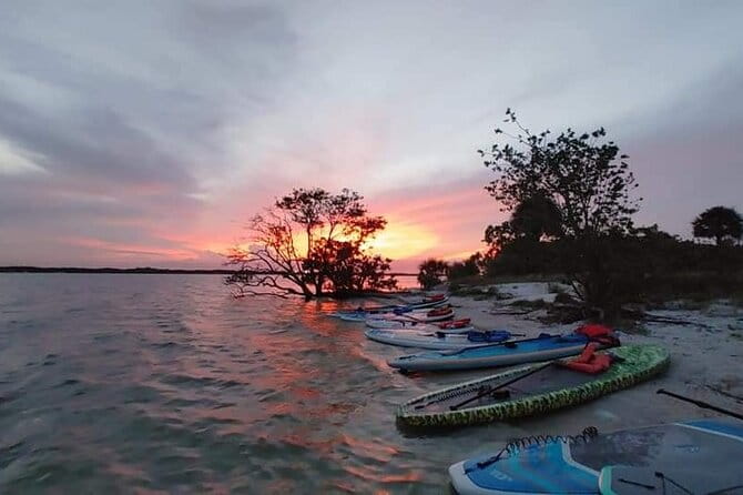 Bioluminescence Clear Kayak or Paddleboard Tour Near Orlando - Weather and Cancellation Policy