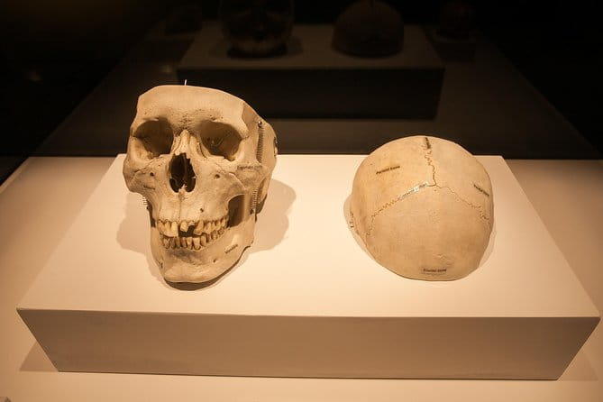Bodies The Exhibition at the Luxor Hotel and Casino - Final thoughts