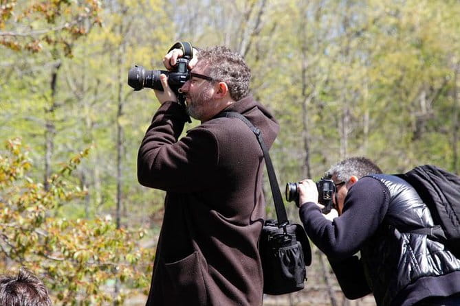 Central Park Photography Tour with Local Photographer - Final Thoughts: Who Will Love This Tour?