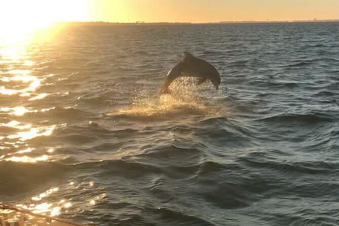 Destin's Floating Tiki Bar Cruise: 360° Harbor Views - Final Thoughts