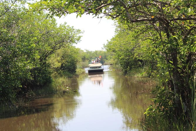 Everglades & Miami city tour with experienced guide in small group - Logistics and Practical Details