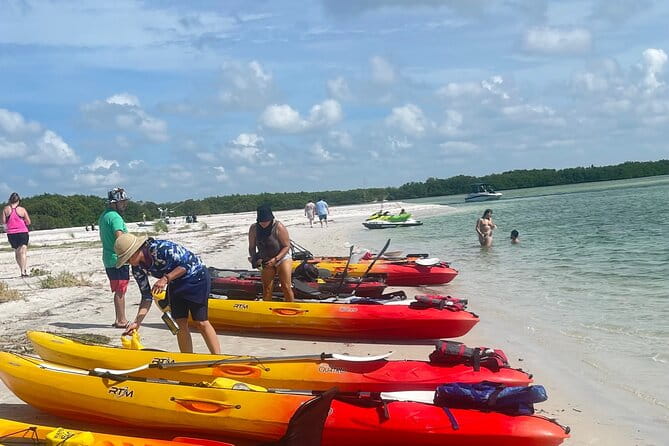 Exclusive Kayak Expedition: Exploring the Mangroves to Shell Key - Who Will Enjoy This Tour?