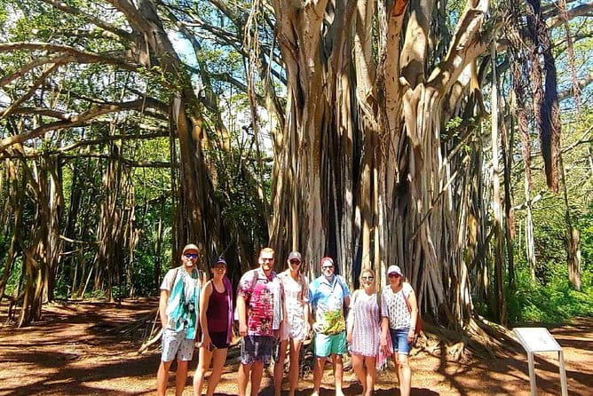 Full Day Customized North Shore Private Tour - The Bottom Line