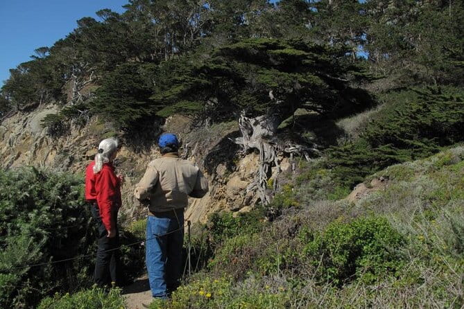 Guided 2-Hour Point Lobos Nature Walk - Who Will Love This Tour?