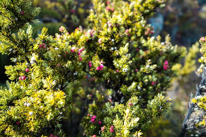 Haleakala Crater Hiking Experience - In The Sum Up