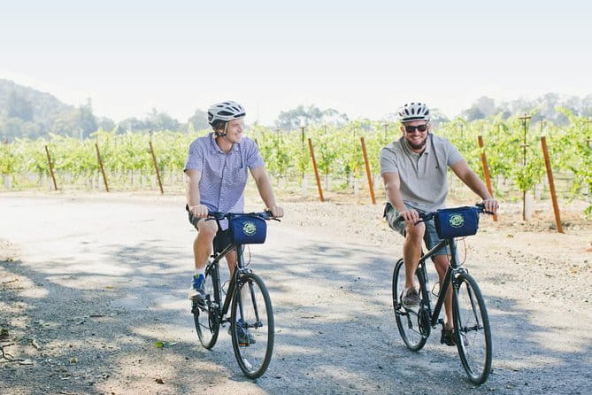 Half-Day Napa Valley E-Bike Tour - The Sum Up