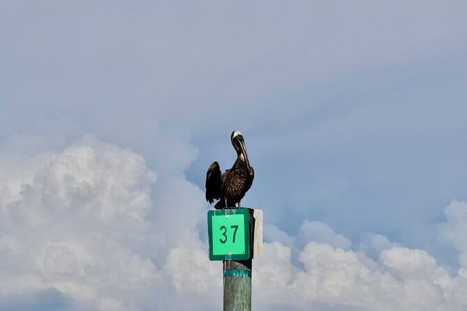 Half-Day Private Tiki Boat Beach Tour from Fort Myers - Who Will Enjoy This Tour Most?