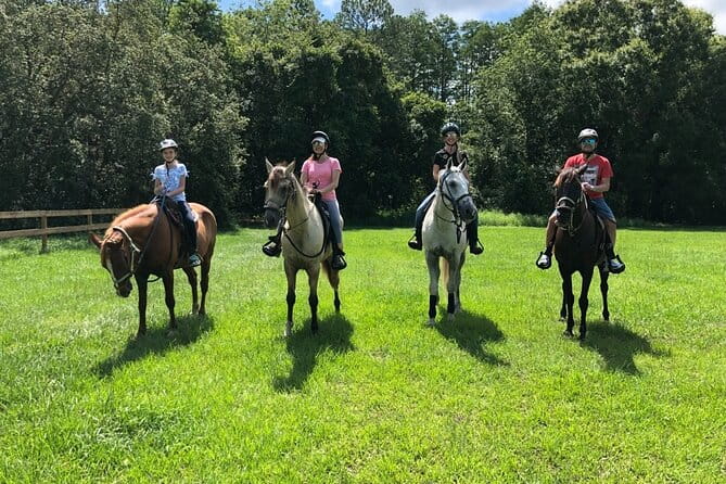 Horseback Ride on Scenic Lake Louisa Trails - The Sum Up