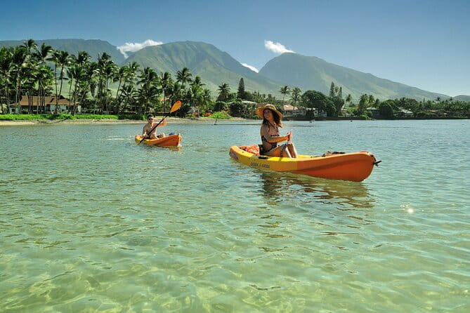 Kayak and Snorkel: Maui West Shore - The Sum Up: Who Will Love This Experience?