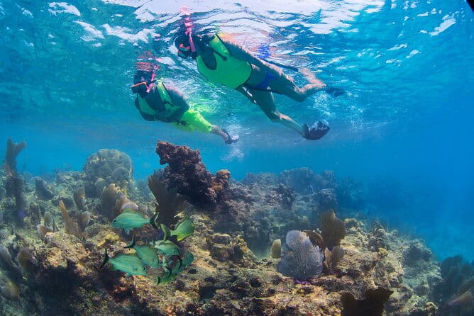 Key West Rum and Reggae: Reef Snorkel Adventure and Sunset Sail - FAQ: Practical Questions Answered