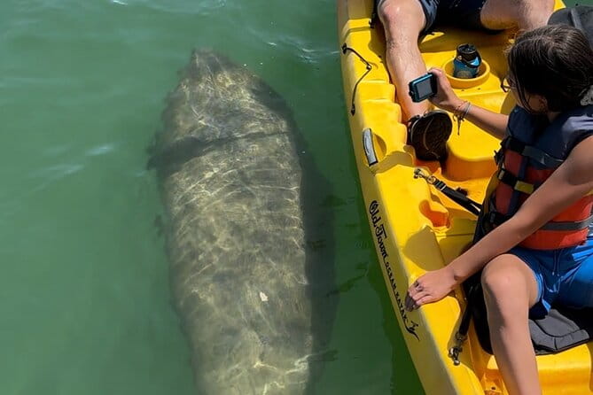 Manatee Discovery Anna Maria Island - FAQ