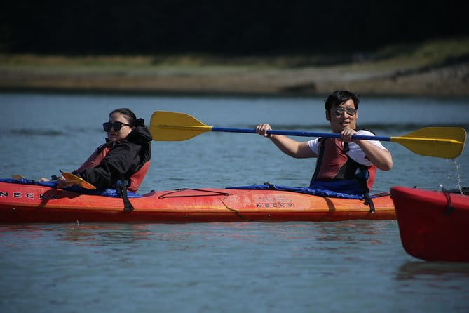 Mendenhall Glacier View Sea Kayaking - Highlighted Pros and Cons