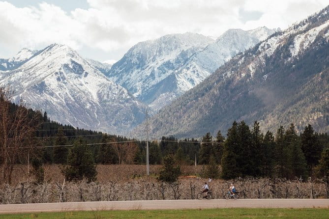 Mountain View E-Bike Experience - The Reviews Tell the Story