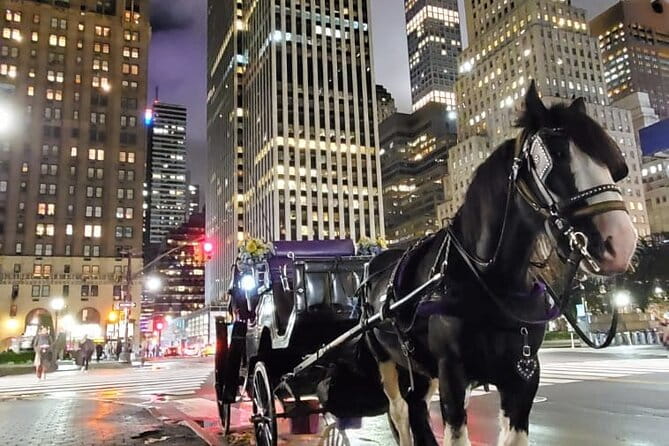 New York City Christmas Lights Private Horse Carriage Ride - Additional Sights and Decorations