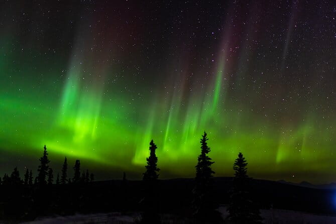 Northern Lights Adventure of a Liftetime from Anchorage - Who Will Love This Tour?