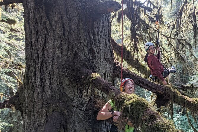 Old-Growth Tree Climbing at Silver Falls State Park - Frequently Asked Questions