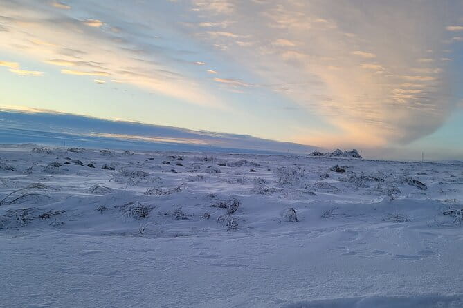 Private Arctic Circle Expedition from Fairbanks - Final Thoughts on Value and Suitability