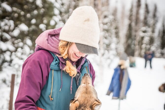 Private Guided Dog Sledding on the Historic Yukon Quest Trail - Final Thoughts