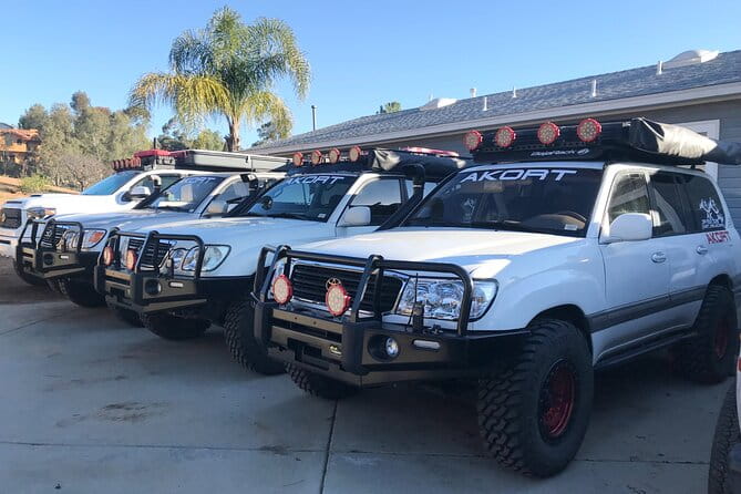 San Diego Off Road Tours - Why Travelers Keep Coming Back
