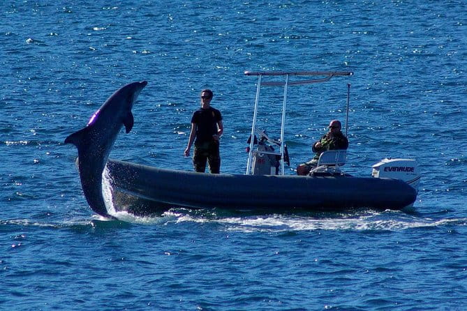 San Diego Whale Watching Cruise - Cancellation Policy and Practical Tips