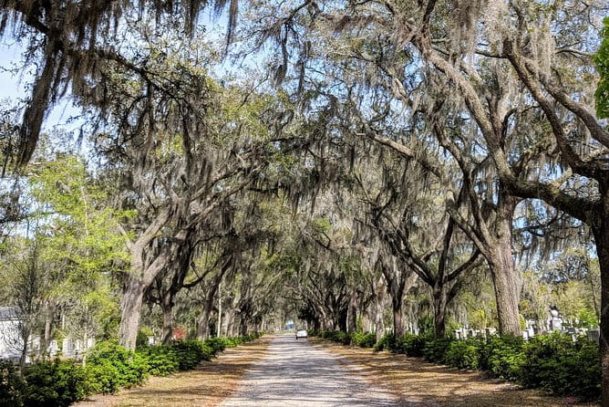 Savannah VIP Tour: Private Full-Day Tour - Final Thoughts: Is This Tour for You?