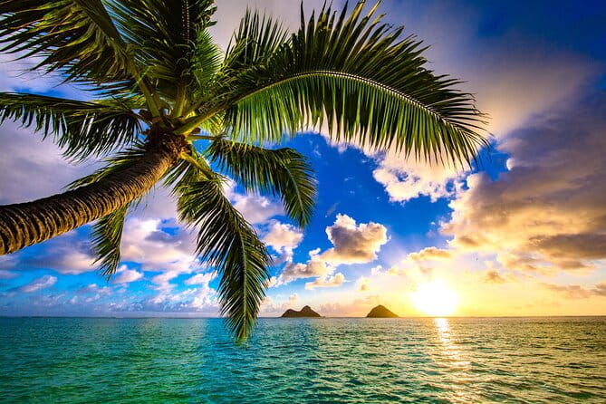Shared Departure Transfer: Hotel to Maui Kahului Airport - Final Thoughts