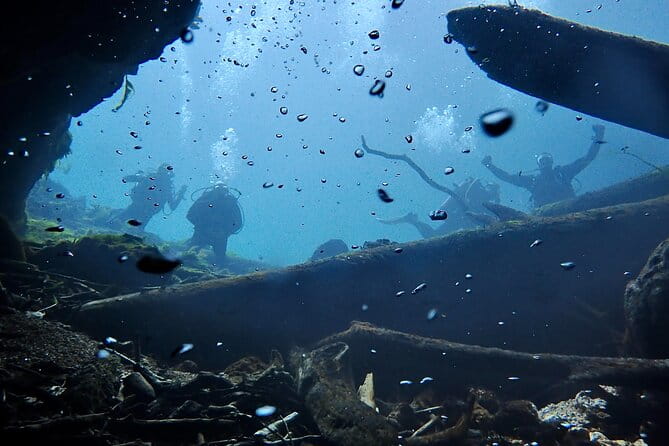 Snorkel Or Dive The Amazing Rainbow River Florida - The Sum Up