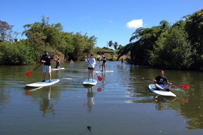 Stand Up Paddle Nature and Turtle tour-Guaranteed to see turtles - Who Will Love This Tour?