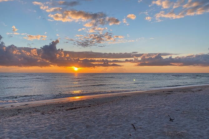 Sunset and Glow Clear Kayak Tour in North Naples - Who Will Love This Tour?