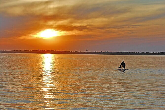 Sunset Wildlife Cruise along Assateague & Chincoteague Island - FAQ
