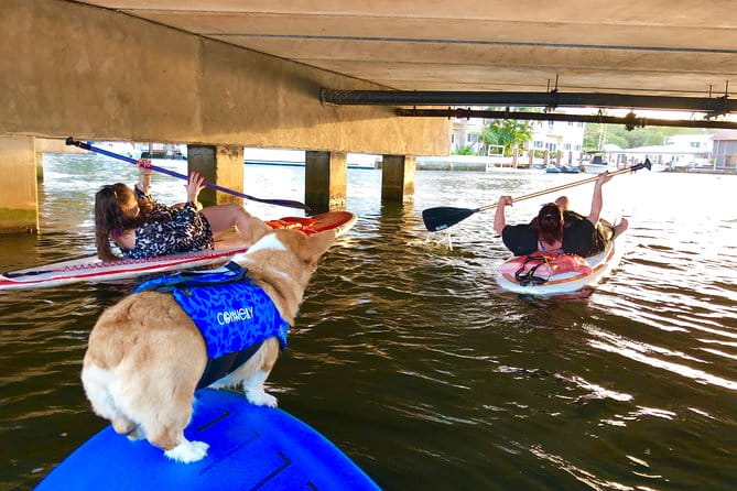 SUP PUP Paddleboard Tour - The Itinerary in Detail