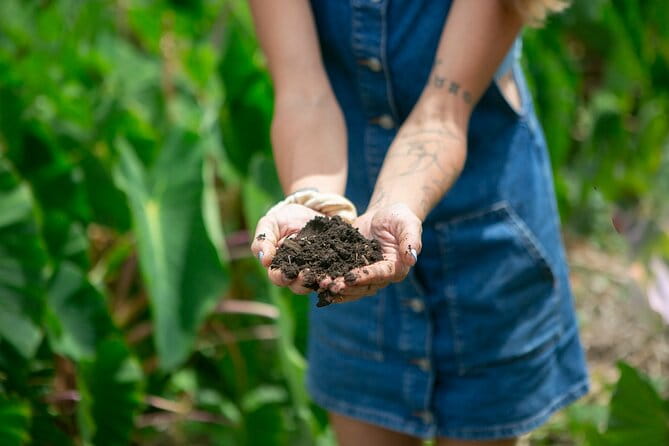 Taste of Hawaii: A Maui Farm Tour - Who will enjoy this tour most?
